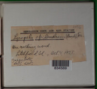Image Associated With the Occurence